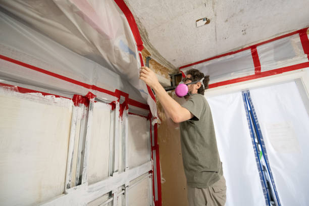 Best Industrial Mold Remediation  in West Hempstead, NY